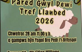 St David's Day Parade - Lampeter